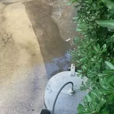 Driveway Cleaning in Sumter, SC 4